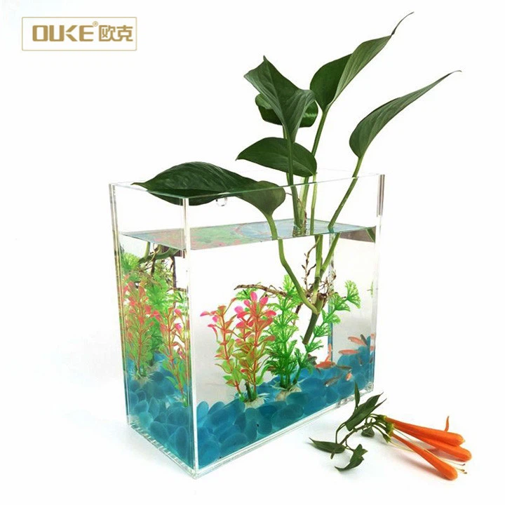 Large Clear Acrylic Fish Tank Aquariums For Decoration