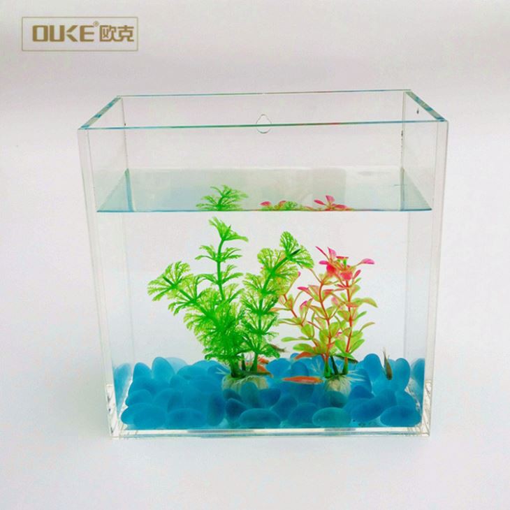 Large Clear Acrylic Fish Tank Aquariums For Decoration